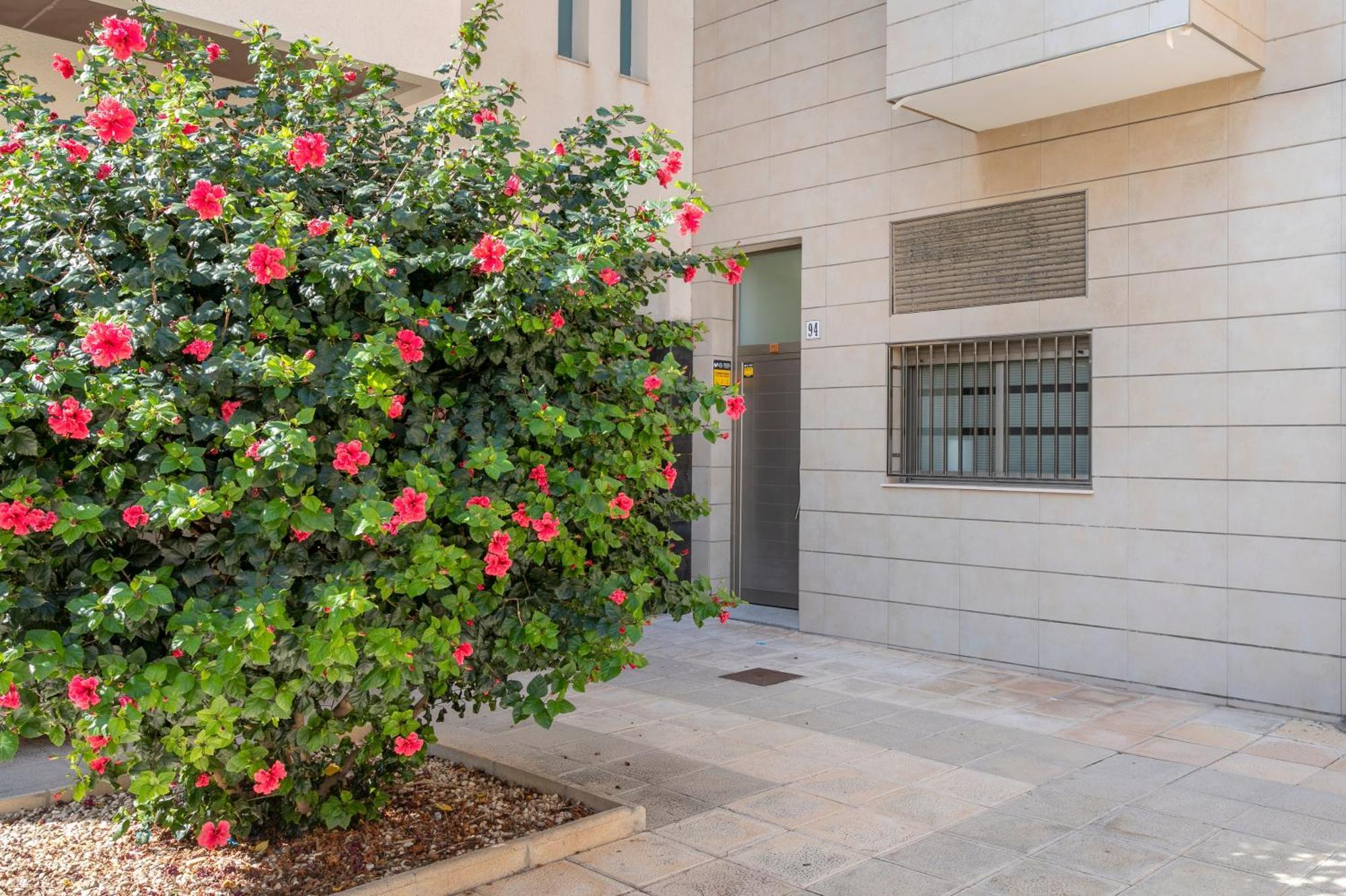 La Casita De Mauro Apartman El Campello Kültér fotó